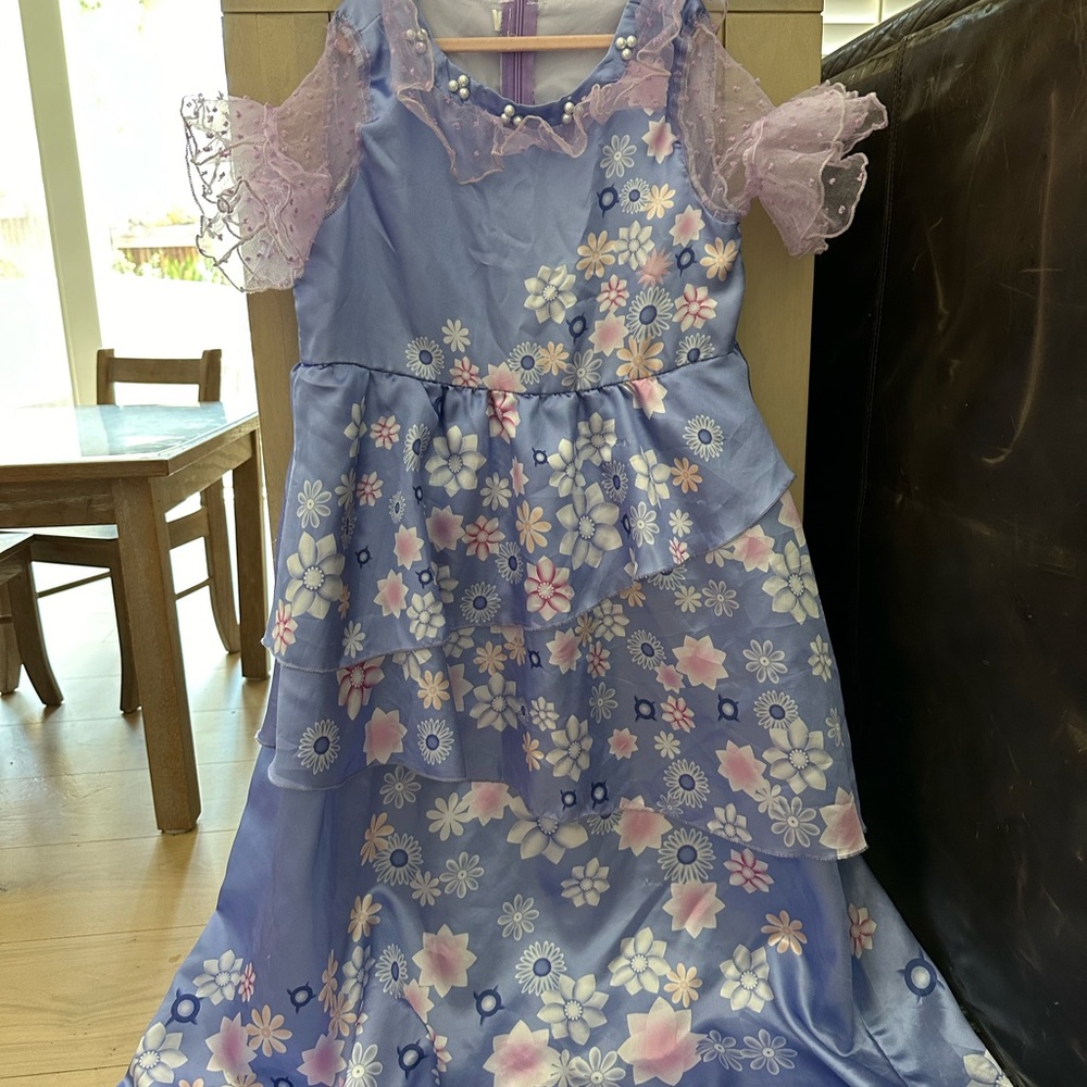 Disney Encantos Isabella costume